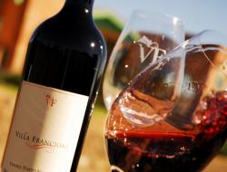 Degustação de rótulos históricos da Villa Francioni acontecerá no dia dedicado ao Vinho Brasileiro
