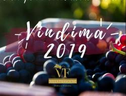 Atraes especiais marcam a Vindima 2019 na Villa Francioni